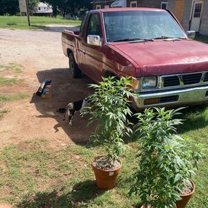 Meet your Posher, Dannie